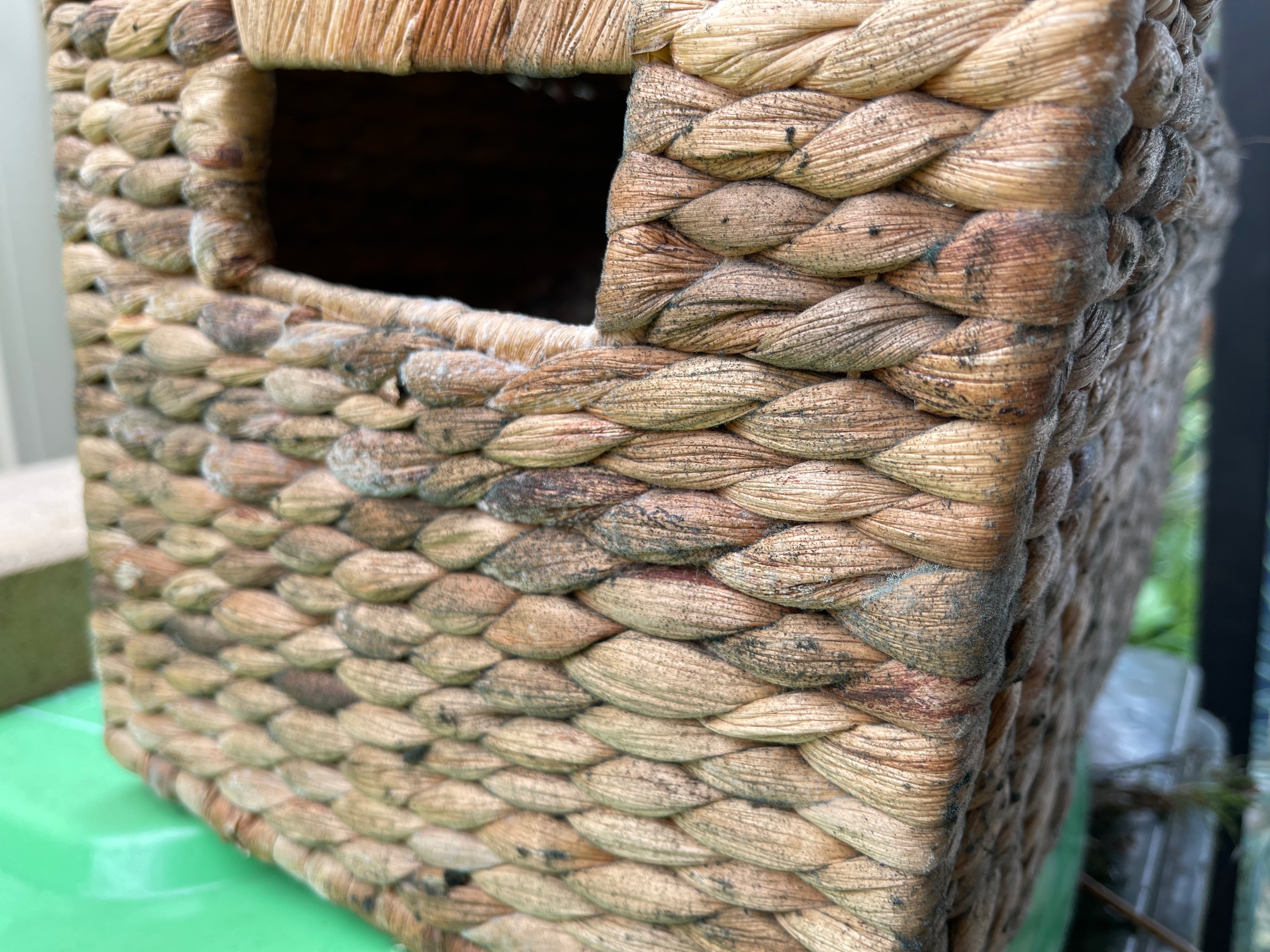 An image of a woven basket that has mould growing on it